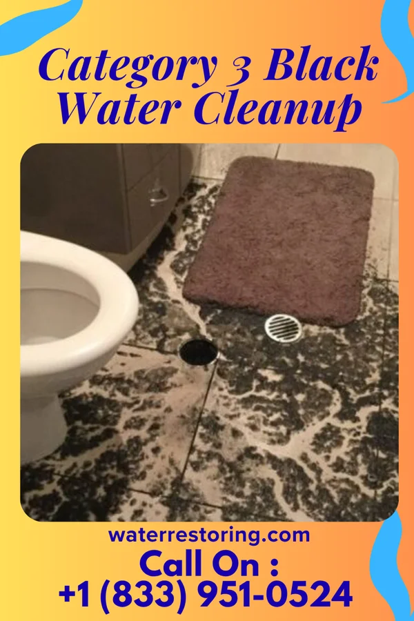 Category 3 Black Water Cleanup in West Lawn, PA