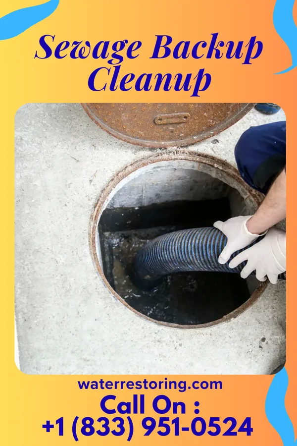 Sewage Backup Cleanup in West Lawn, PA