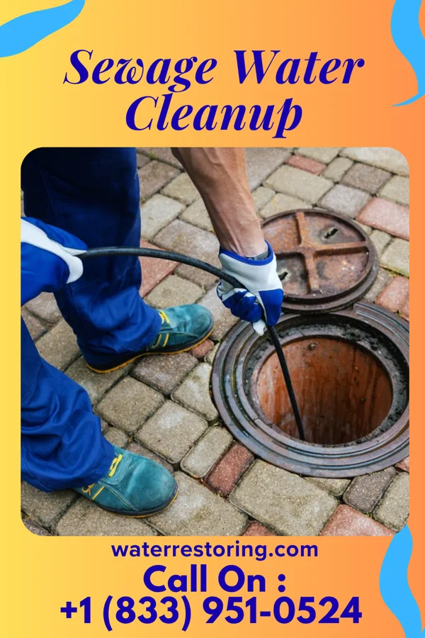 Sewage Water Cleanup in West Lawn, PA